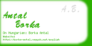 antal borka business card